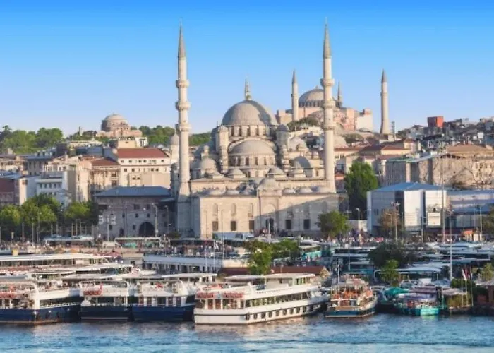 Camellia * İstanbul