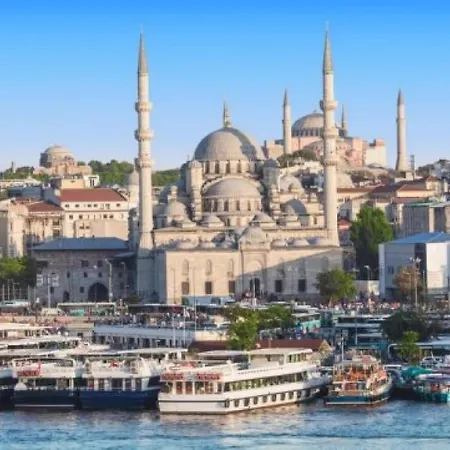Camellia * Istanbul