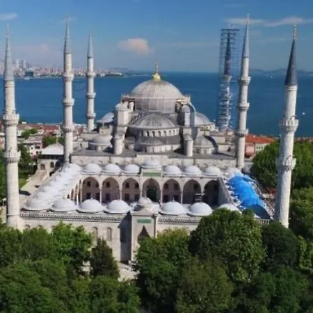 Camellia Auberge de jeunesse *