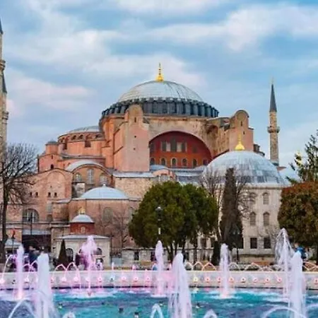 Camellia * Istanbul