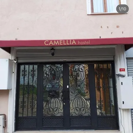 بيت شباب Camellia *